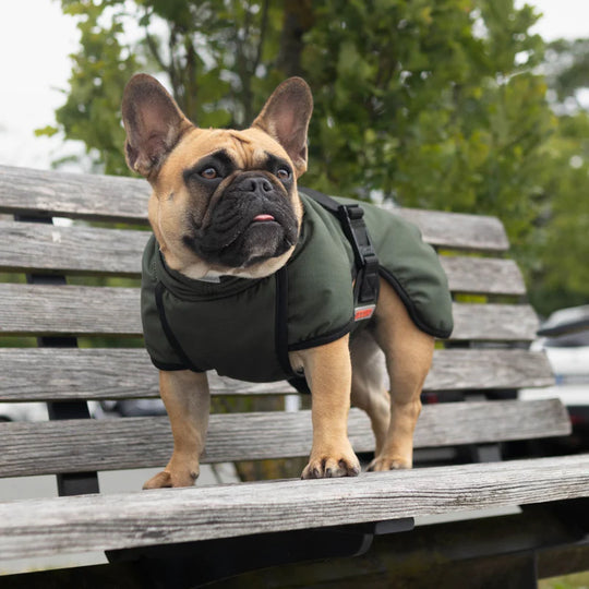 Siccaro - Regnjakke Rainforce, Green