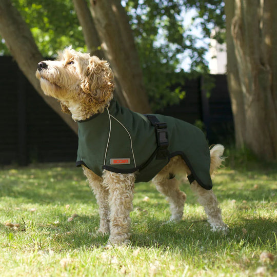 Siccaro - Regnjakke Rainforce, Green