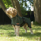 Siccaro - Regnjakke Rainforce, Green