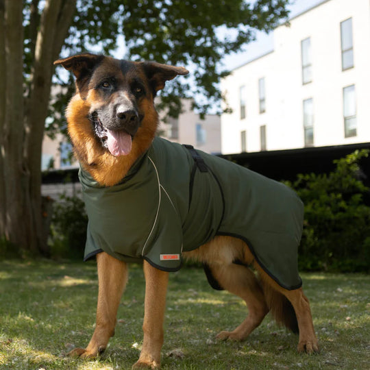 Siccaro - Regnjakke Rainforce, Green