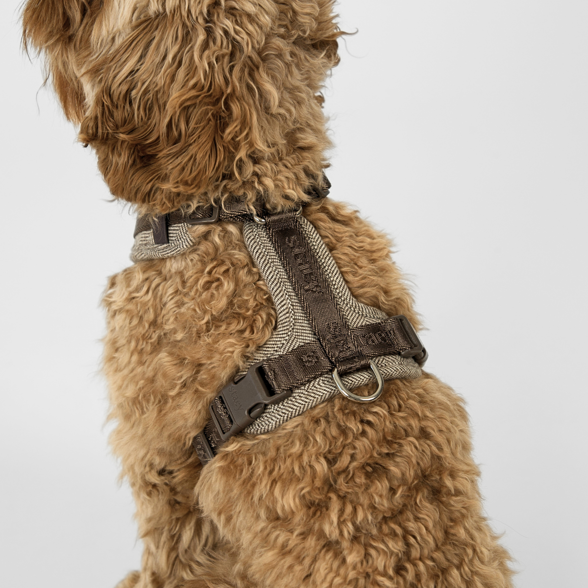 Staey - Numa Hundesele, Mocca