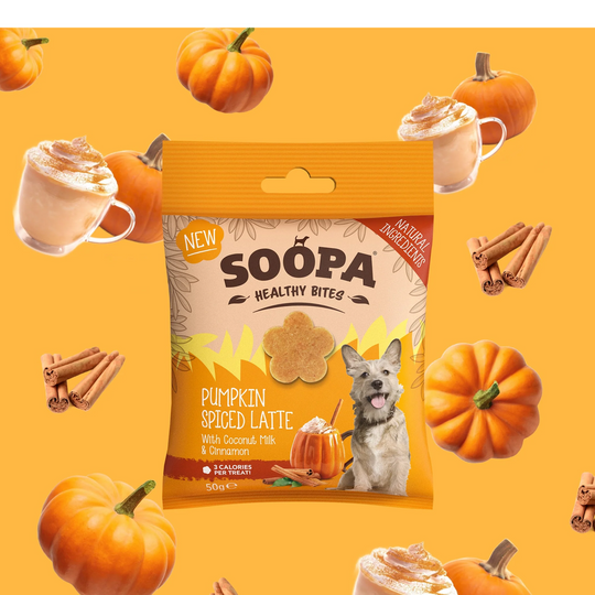 Soopa - Træningsgodbidder m. Pumpkin Spice Latte (bf 08-2026)