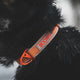 Siccaro - Sealines halsbånd / 100% genanvendt nylon, orange