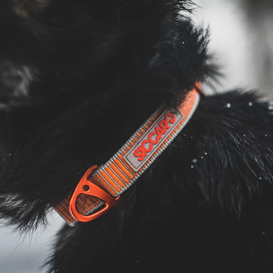 Siccaro - Sealines halsbånd / 100% genanvendt nylon, orange