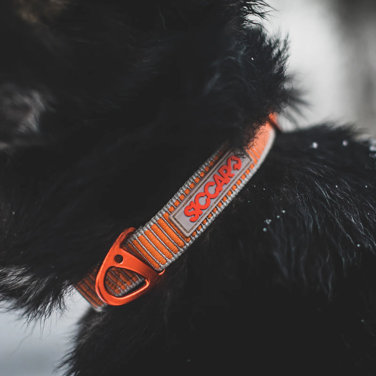 Siccaro - Sealines halsbånd / 100% genanvendt nylon, orange
