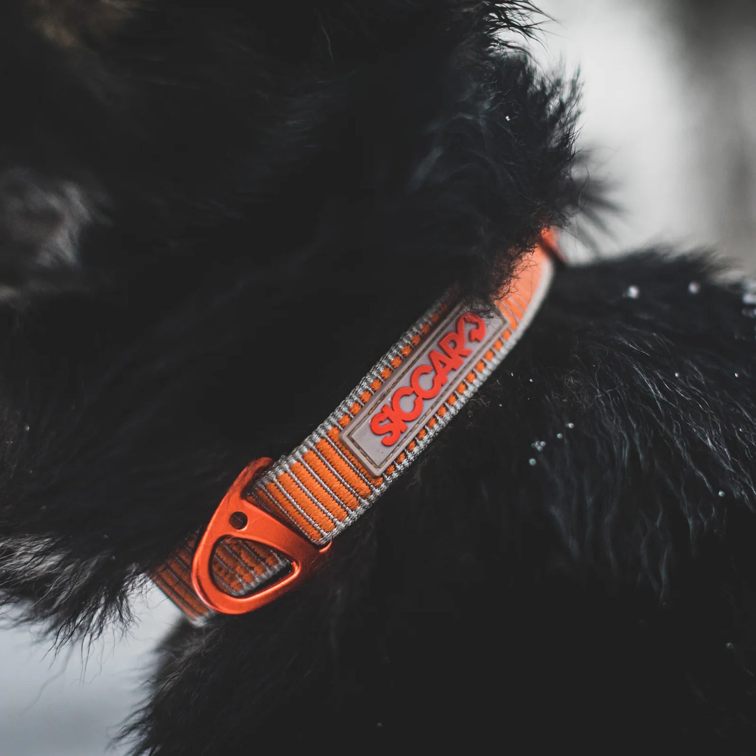 Siccaro - Sealines halsbånd / 100% genanvendt nylon, orange