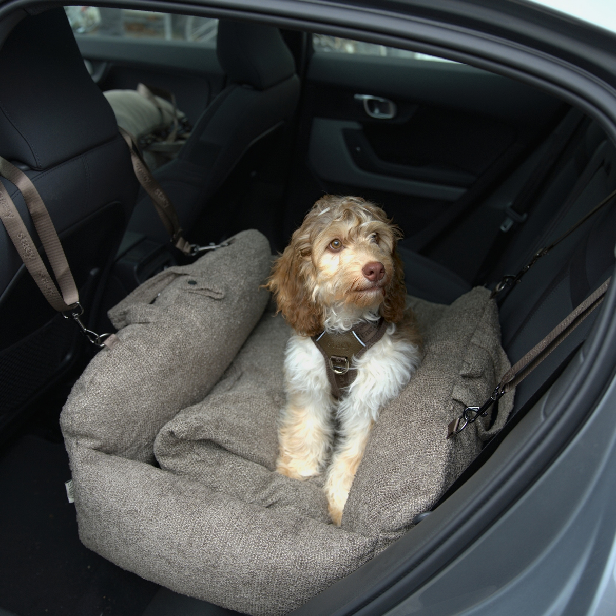 Tova XL Bilsæde, Chestnut Bouclé – Staey