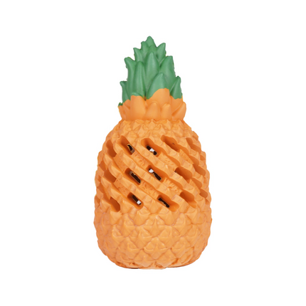 Ananas Legetøj Til Hvalp