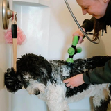 Skumsprøjte til haveslangen | Perfekt til hundebad