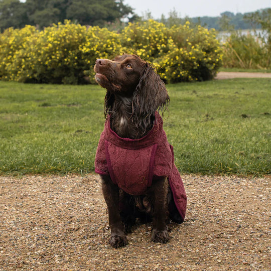 Siccaro - Tørredækken Smart, Zinfandel Red