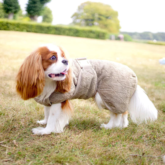 Siccaro - Tørredækken Smart, Elmwood