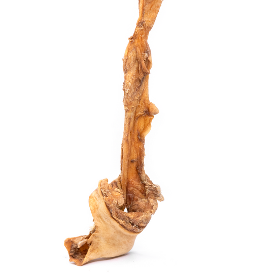 Snack'it - Lammepandebrask 50 cm.