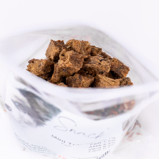 Snack'it Mini Trainers Ørred 100g