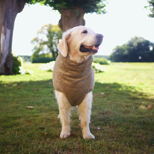 Siccaro - Tørredækken Supreme 2.0, Elmwood