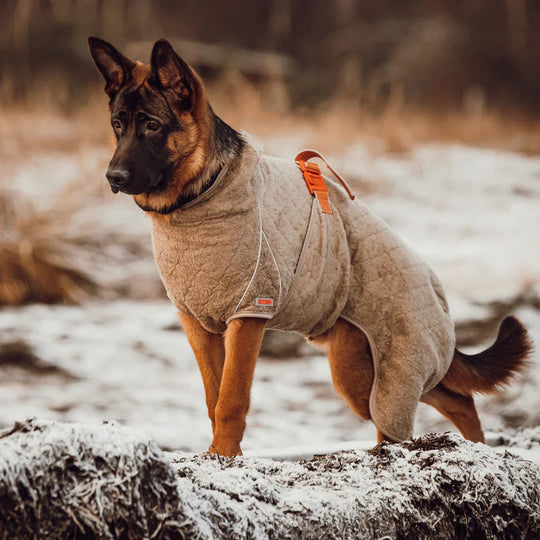 Siccaro - Tørredækken Supreme 2.0, Elmwood