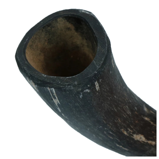 Viking Horn – Helt horn (S)