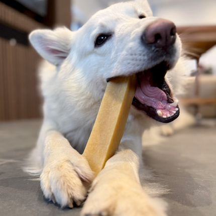 Yaki - Tyggeben med Peanut Butter