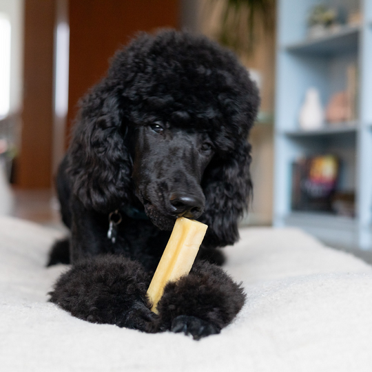 Yaki - Tyggeben med Peanut Butter