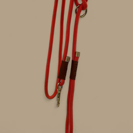 Bjorken Hundeline, Orange