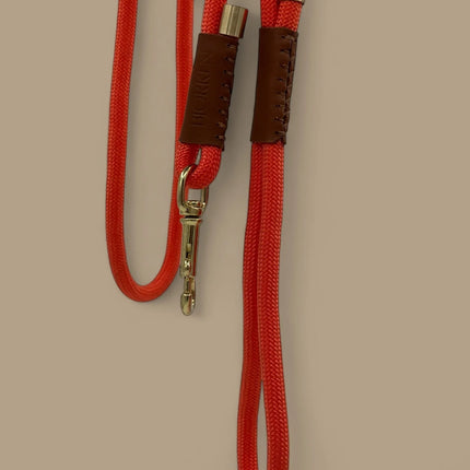 Bjorken Hundeline, Orange