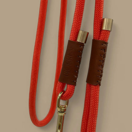 Bjorken Hundeline, Orange