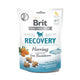 Brit - Functional Snack Recovery m. Sild & Havtorn 150g