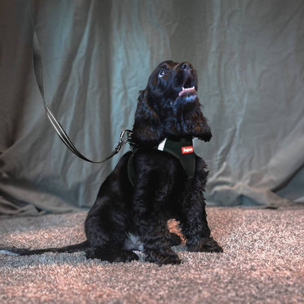 Dogman Air Mesh Step-in Sele, sort