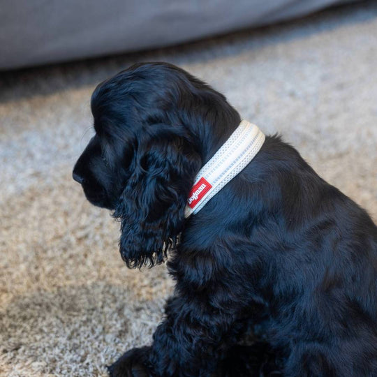 Dogman Air Mesh Polstret Halsbånd, Beige