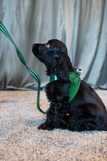 Dogman Air Mesh Line, olivengrøn