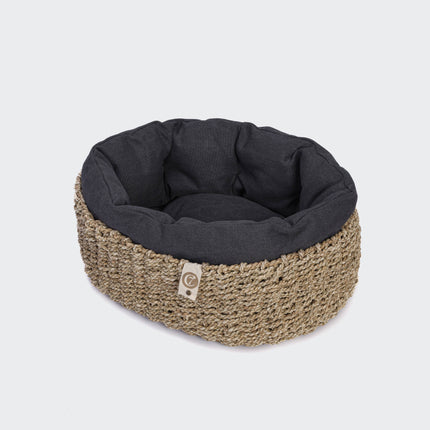 Cloud7 hundeseng, Lazy Canvas Black