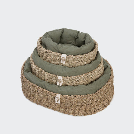 Cloud7 hundeseng, Lazy Canvas Olive