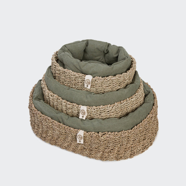 Cloud7 hundeseng, Lazy Canvas Olive