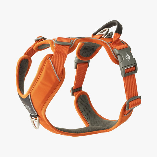 Dog Copenhagen Comfort Walk Pro™ hundesele Orange Sun
