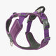 Dog Copenhagen Comfort Walk Pro™ hundesele Purple Passion