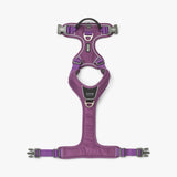 Dog Copenhagen Comfort Walk Pro™ hundesele Purple Passion