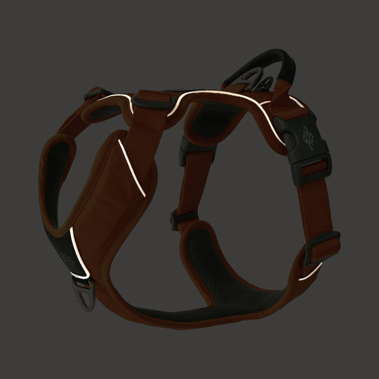 Dog Copenhagen Comfort Walk Pro™ hundesele Wild Rose