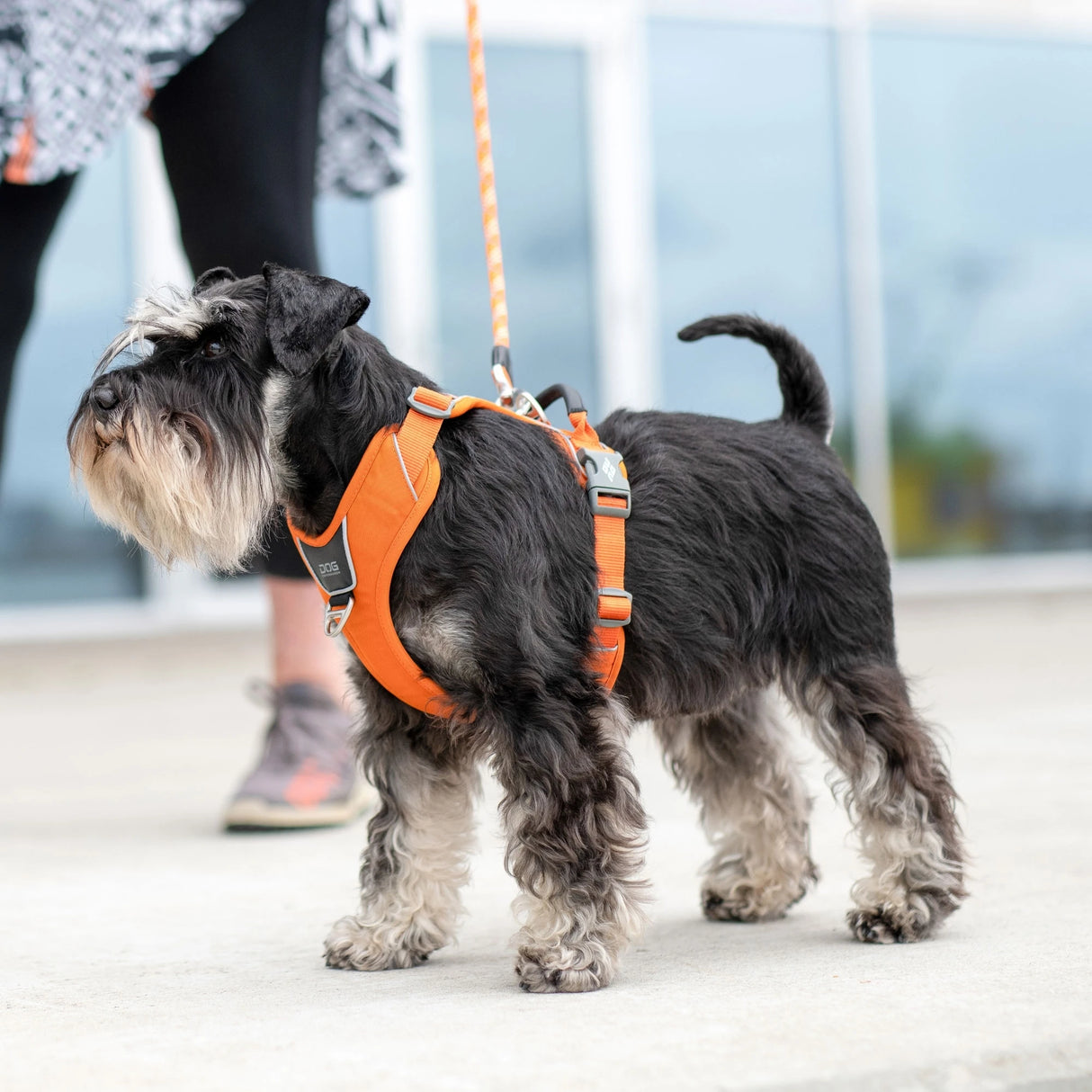 Dog Copenhagen Comfort Walk Pro™ hundesele Sort