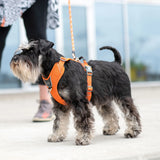 Dog Copenhagen Comfort Walk Pro™ hundesele Sort