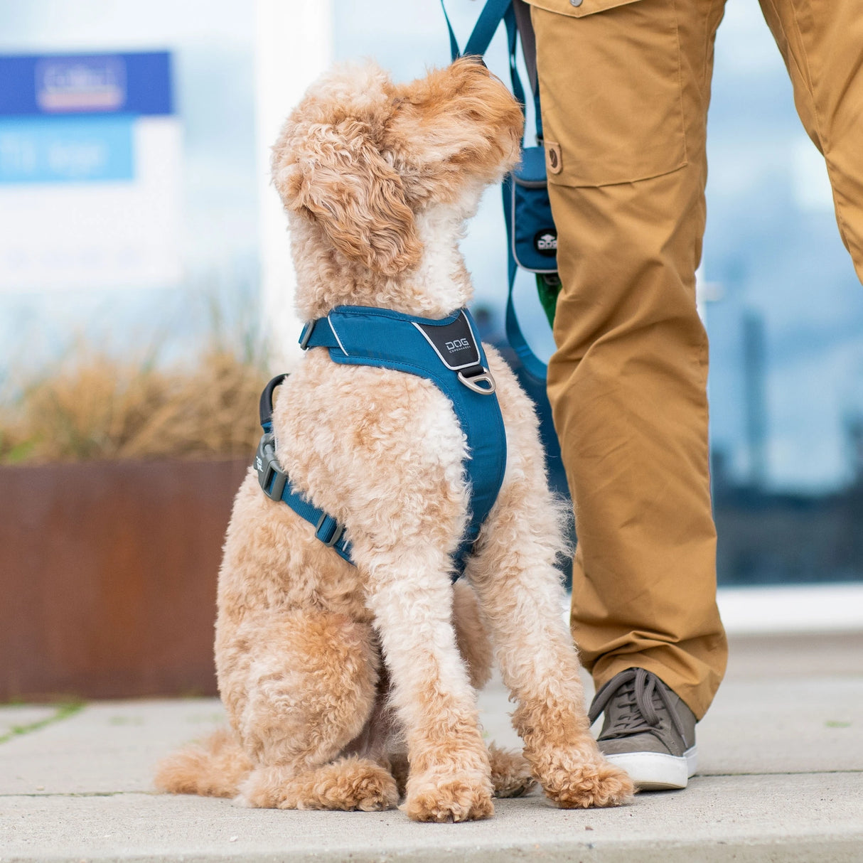 Dog Copenhagen Comfort Walk Pro™ hundesele Sort