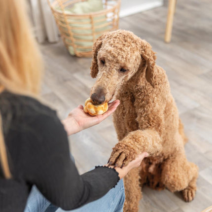 Trixie - Denta Fun Kollagen Donuts m. Kylling (bf. 28/8-2026)