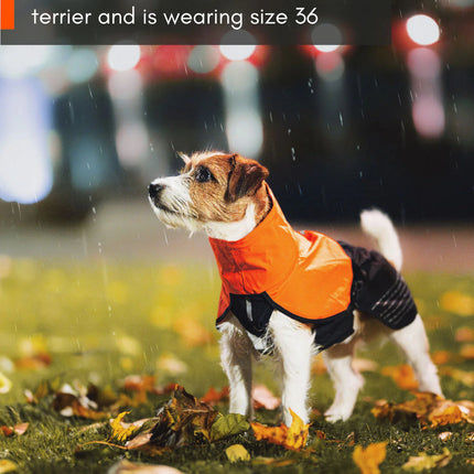 Non-stop Dogwear - Fjord regnjakke, orange/sort