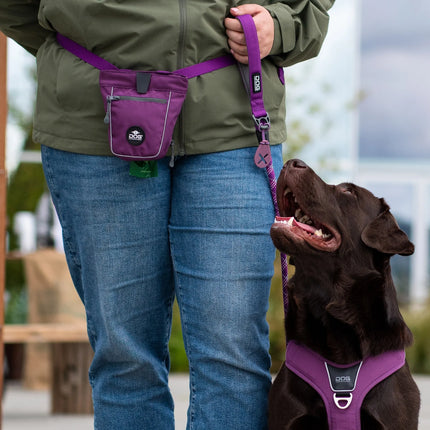 Dog Copenhagen - Flexy™ Hundeposeholder, Purple passion