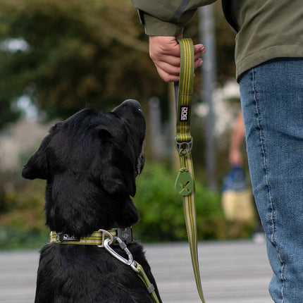 Dog Copenhagen - Flexy™ Hundeposeholder, Hunting green