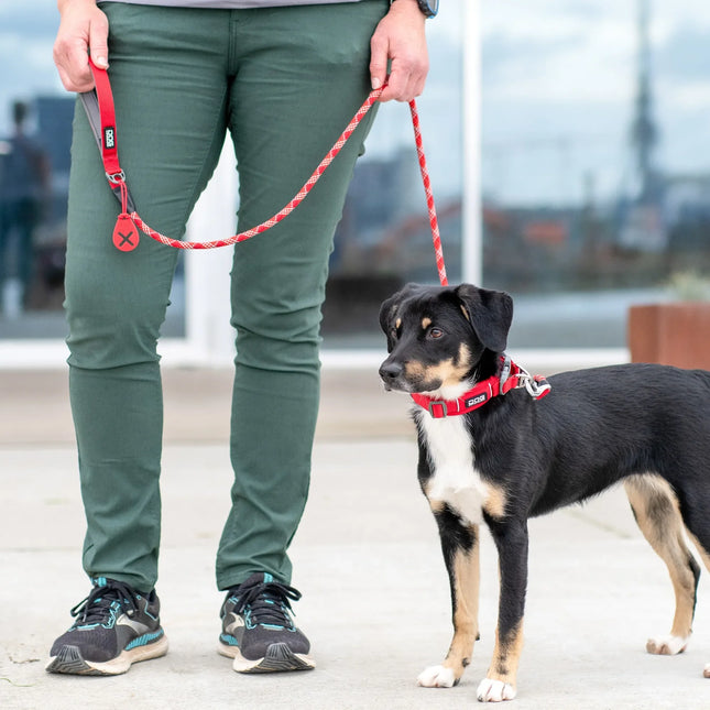 Dog Copenhagen - Flexy™ Hundeposeholder, Desert Dune