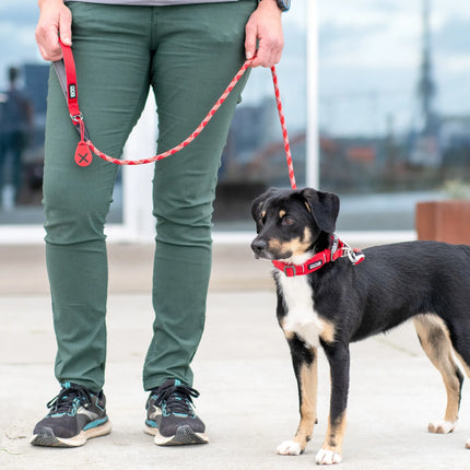 Dog Copenhagen - Flexy™ Hundeposeholder, Wild rose