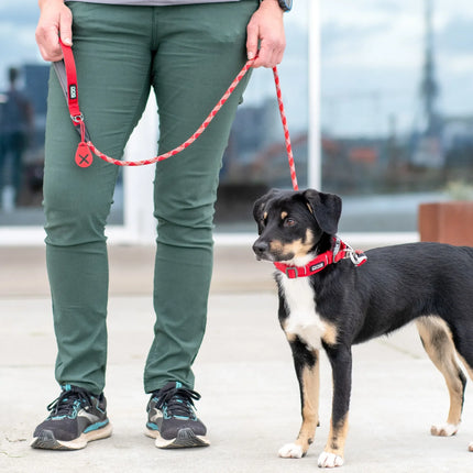 Dog Copenhagen - Flexy™ Hundeposeholder, Mocca