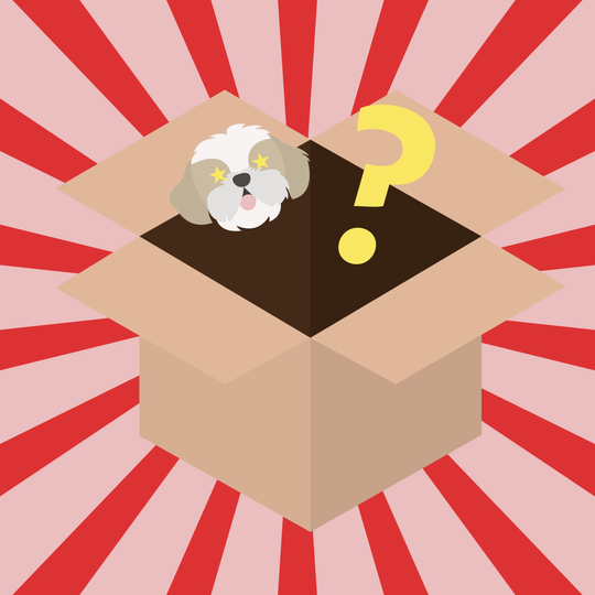 Luksus-Godbids-Kassen