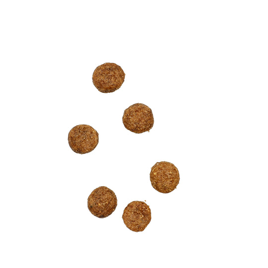 Heavenly - Hvalpefoder m. Kylling, Gris & Laks