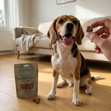 Barkii Frysetørret Godbidder m. And packshot