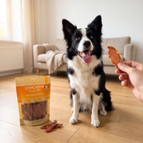 Border collie får en tørret kyllingebrystfilet i en lys stue, med posen stående på gulvet